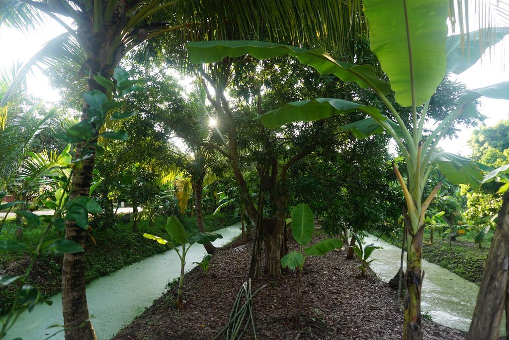 Meephawa Resort Amphawa Zewnętrze zdjęcie